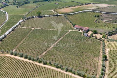 Quinta centenária de 1919 – favaios, vila real