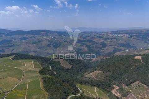 Quinta centenária de 1919 – favaios, vila real