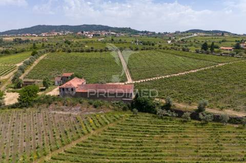 Quinta centenária de 1919 – favaios, vila real