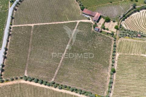 Quinta centenária de 1919 – favaios, vila real