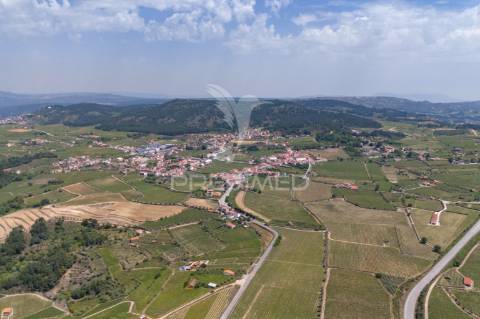 Quinta centenária de 1919 – favaios, vila real