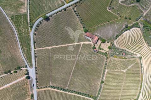 Quinta centenária de 1919 – favaios, vila real