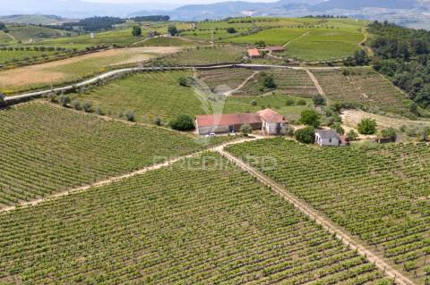 Quinta centenária de 1919 – favaios, vila real
