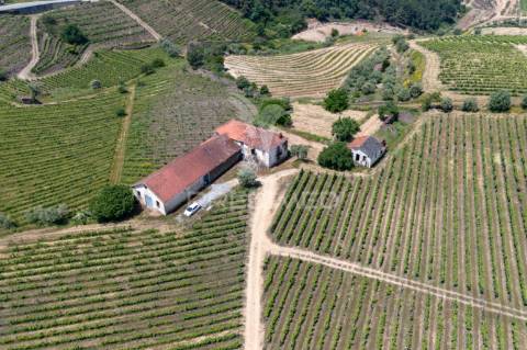 Quinta centenária de 1919 – favaios, vila real