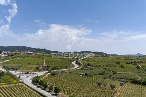 Quinta centenária de 1919 – favaios, vila real
