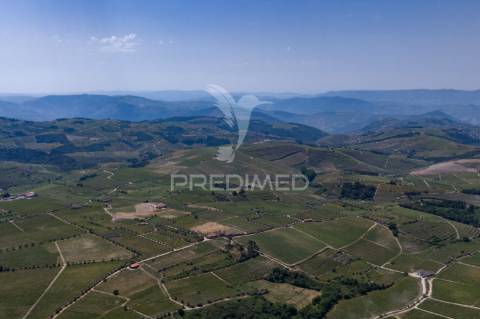 Quinta centenária de 1919 – favaios, vila real