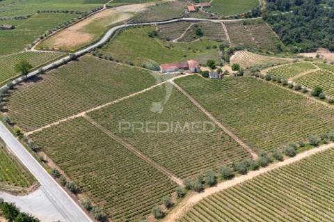 Quinta centenária de 1919 – favaios, vila real