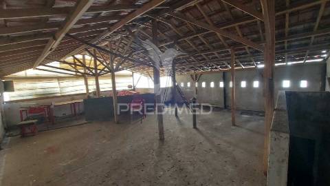 Espaço comercial; loja em alpiarça.