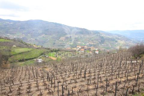 Quinta de encanto no douro