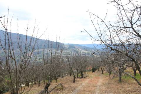 Quinta de encanto no douro