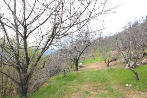 Quinta de encanto no douro