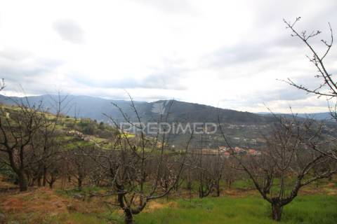 Quinta de encanto no douro