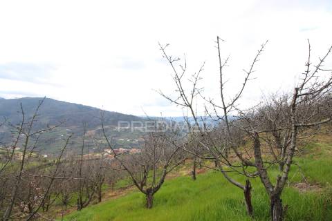Quinta de encanto no douro