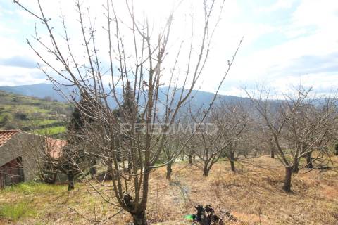 Quinta de encanto no douro