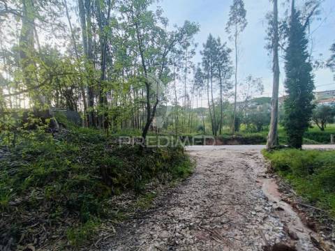 Terreno com 2850m2 para construção de uma moradia em gondemaria