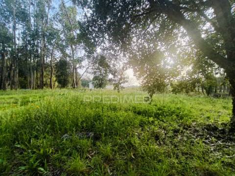 Terreno com 2850m2 para construção de uma moradia em gondemaria