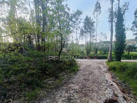 Terreno com 2850m2 para construção de uma moradia em gondemaria