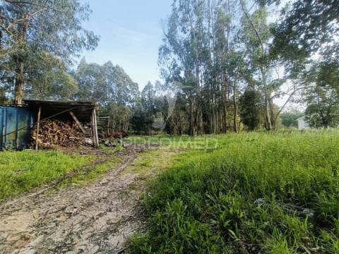 Terreno com 2850m2 para construção de uma moradia em gondemaria