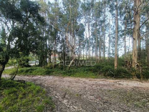 Terreno com 2850m2 para construção de uma moradia em gondemaria