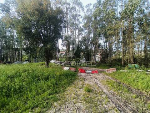 Terreno com 2850m2 para construção de uma moradia em gondemaria