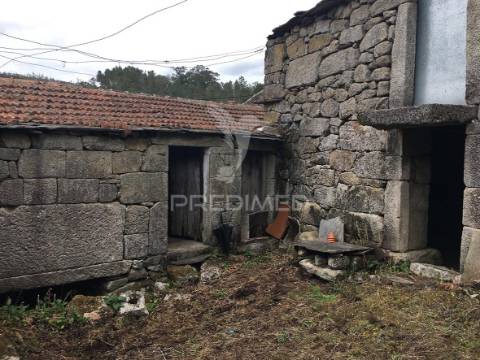 Oportunidade de investimento em macieira de alcôba, águeda