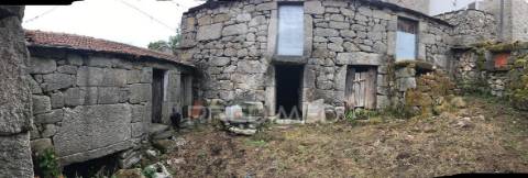 Oportunidade de investimento em macieira de alcôba, águeda