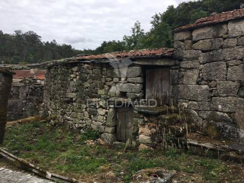 Oportunidade de investimento em macieira de alcôba, águeda