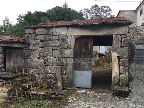 Oportunidade de investimento em macieira de alcôba, águeda