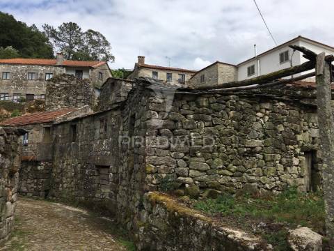 Oportunidade de investimento em macieira de alcôba, águeda