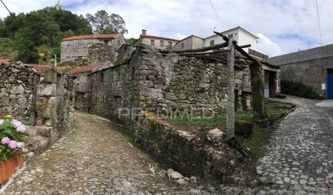 Oportunidade de investimento em macieira de alcôba, águeda