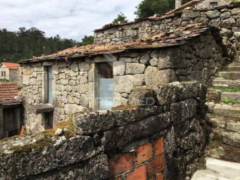 Oportunidade de investimento em macieira de alcôba, águeda