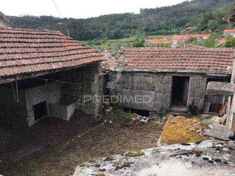 Oportunidade de investimento em macieira de alcôba, águeda