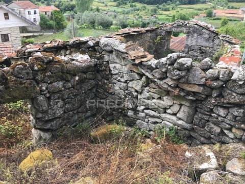 Oportunidade de investimento em macieira de alcôba, águeda