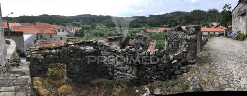 Oportunidade de investimento em macieira de alcôba, águeda