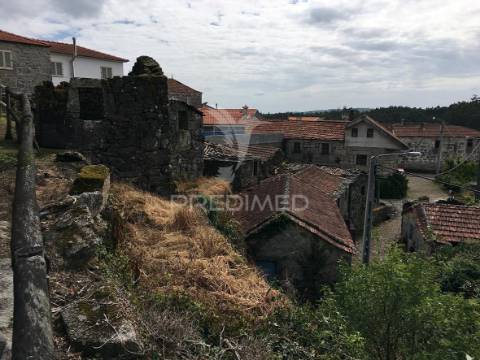 Oportunidade de investimento em macieira de alcôba, águeda