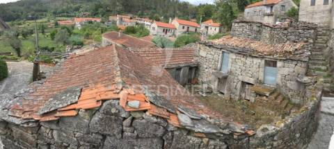 Oportunidade de investimento em macieira de alcôba, águeda