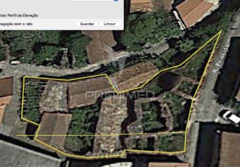 Oportunidade de investimento em macieira de alcôba, águeda