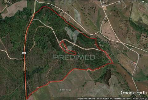 Herdades em são luís