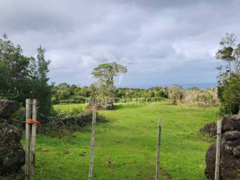 Terreno com pastagem nas bandeiras