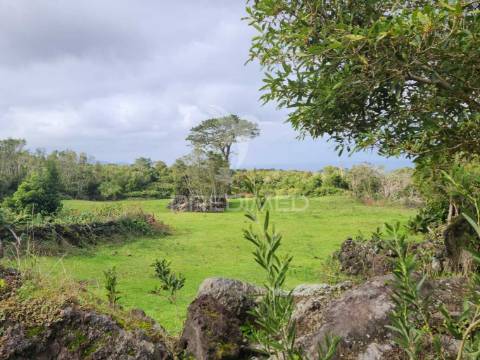 Terreno com pastagem nas bandeiras