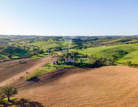 Monte alentejano com 17ha