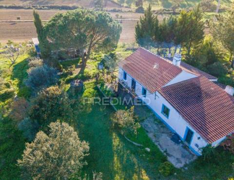 Monte alentejano com 17ha