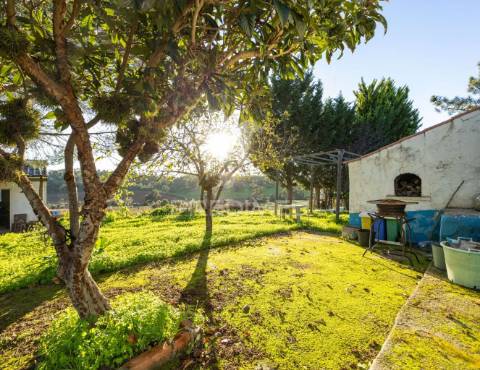 Monte alentejano com 17ha