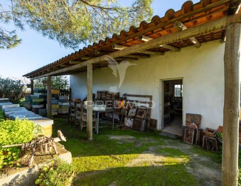 Monte alentejano com 17ha