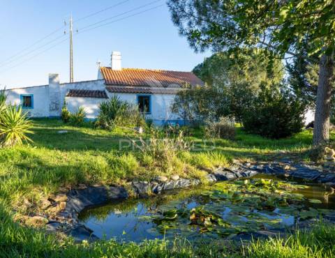 Monte alentejano com 17ha