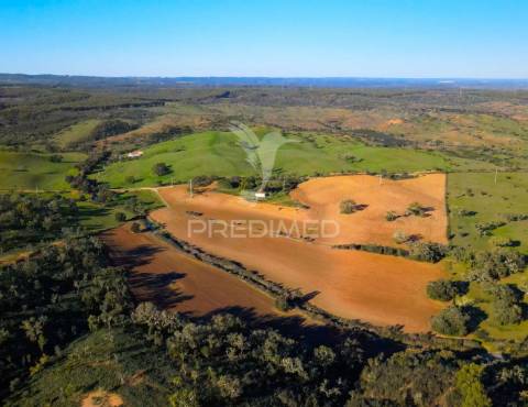Monte alentejano com 17ha