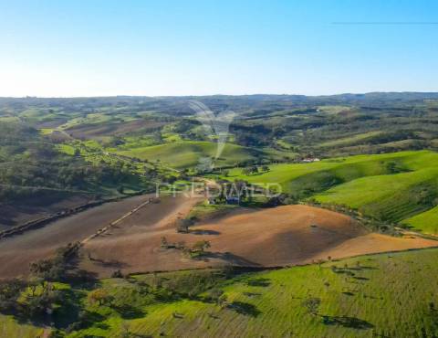 Monte alentejano com 17ha