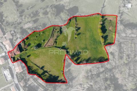 Quinta rústica com 6 hectares de terreno em moure, póvoa de lanhoso