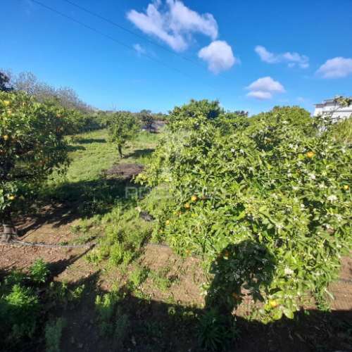 Dois terrenos rusticos com área 11400m2  na saida de faro
