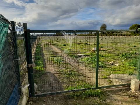 Dois terrenos rusticos com área 11400m2  na saida de faro